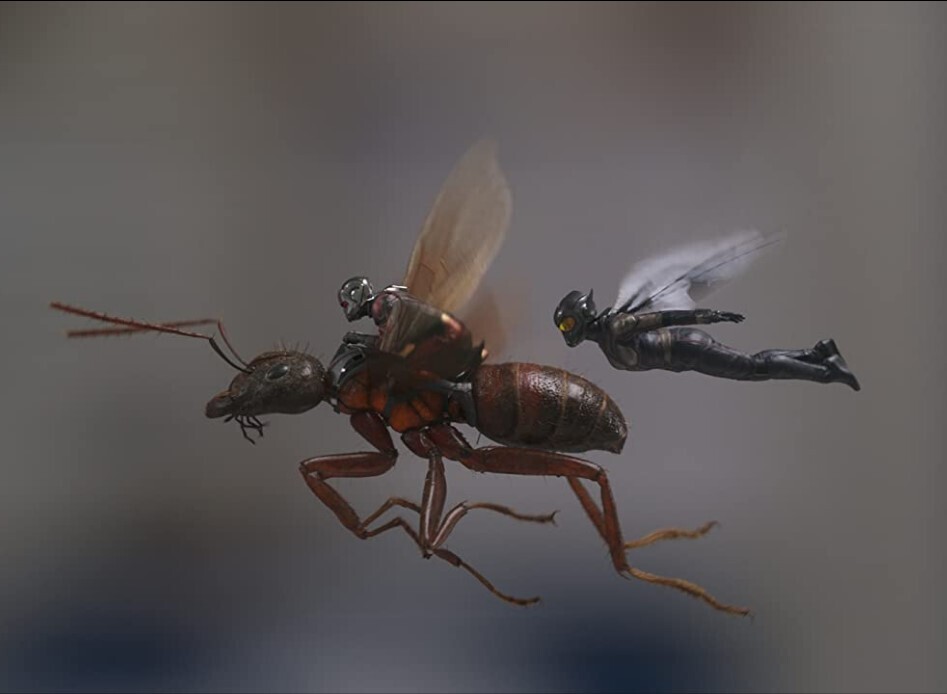 Скоро на экран выйдет новый Человек Муравей и Оса Квантомания