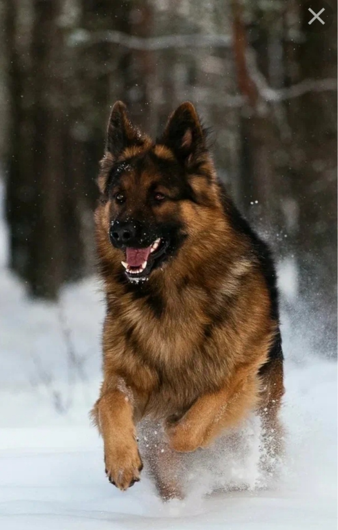 А Владимир Владимирович БУРМАТОВ – против!