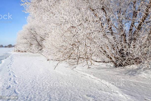 Рассказ Снег. Поиск кладов с металлоискателем.