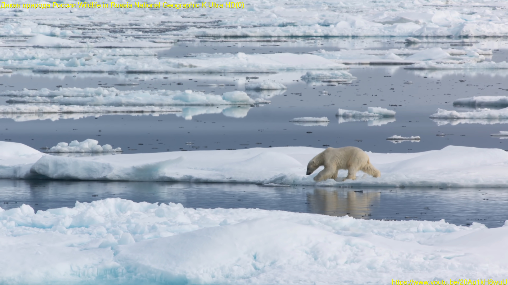 Байден: в США не будет рецессии ни в этом, ни в следующем году.