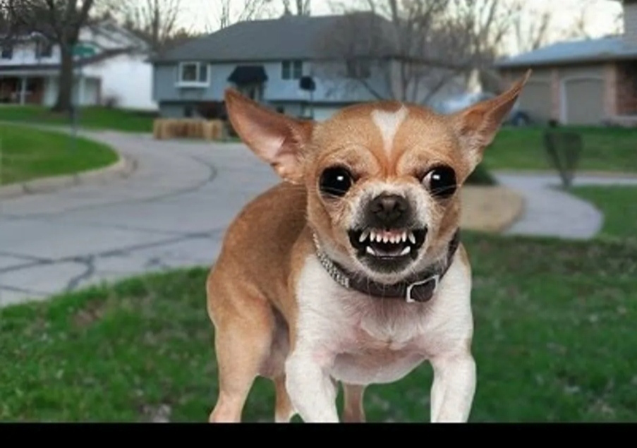 А Владимир Владимирович БУРМАТОВ – против!