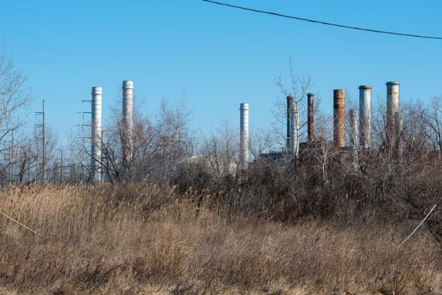 Воспитательница детского сада из Джерси-Сити найдена мертвой в неглубокой могиле в Кирни.