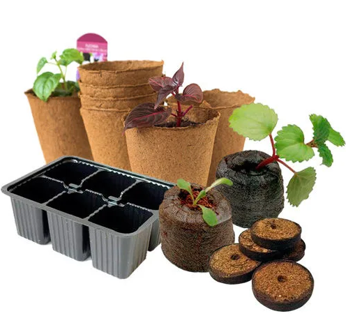 В чём выращивать рассаду лучше всего?