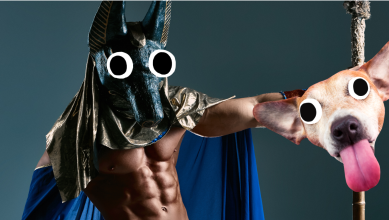 15 интересных фактов об Анубисе, египетском боге