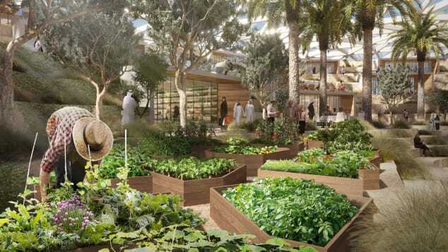 В Дубае может быть 93 километра крытых велосипедных дорожек