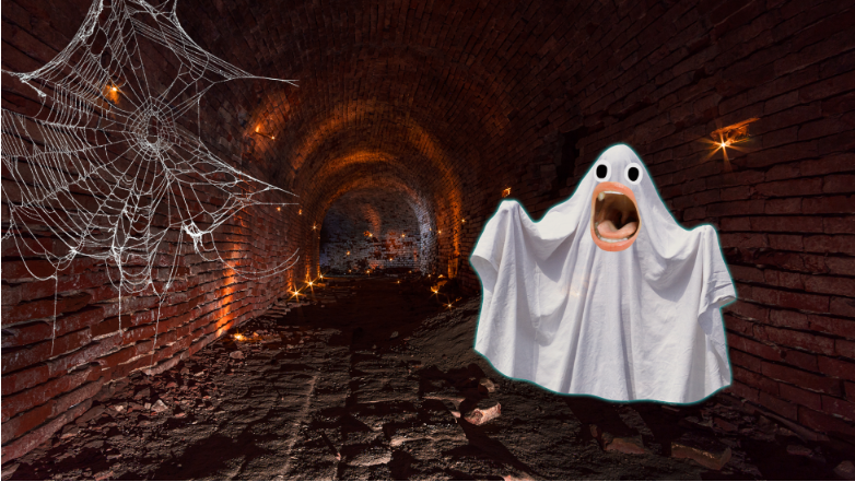 15 интересных фактов об Анубисе, египетском боге