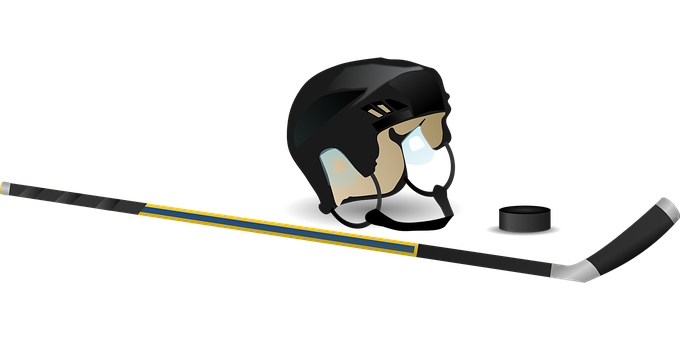 Всем фанатам и любителям хоккея!Про саму игру и 25 интересных фактов.