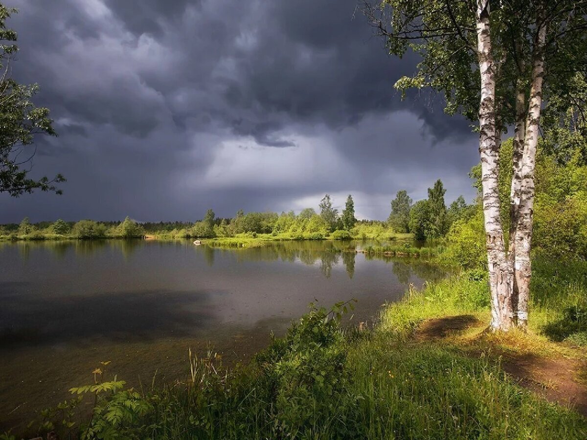 БРЕД СУМАСШЕЛШЕГО ! (продолжение)