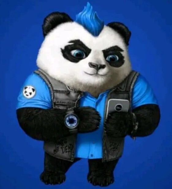 Punk Panda: Мессенджер, который платит вам за общение в чате