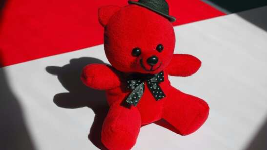 День Тедди 2023: 5 романтических способов выразить свои чувства с помощью мишки