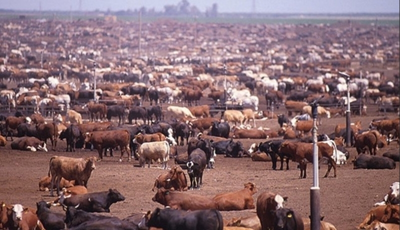 10 фактов про деньги, о которых вы не догадывались. Часть 6