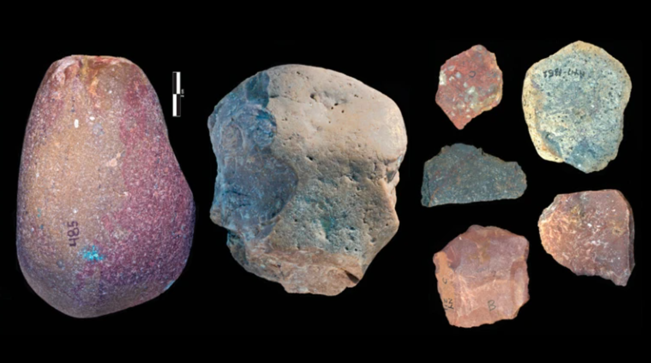 Nature: Древние каменные орудия предполагают, что ранние люди обедали бегемотом