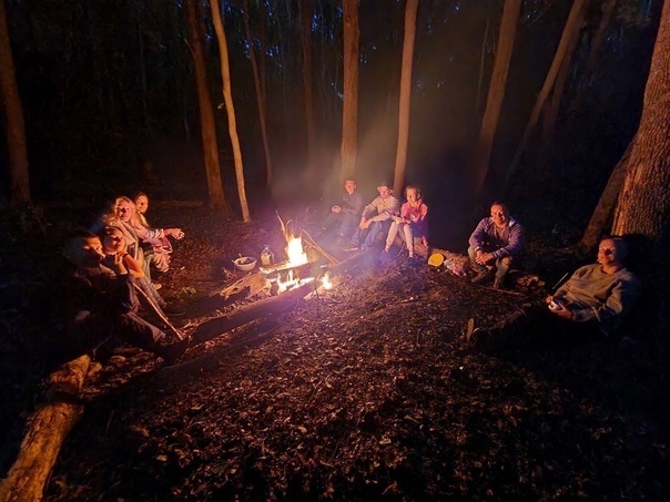 Страшные истории. Ночь в лесу изменила мою жизнь. Часть 1