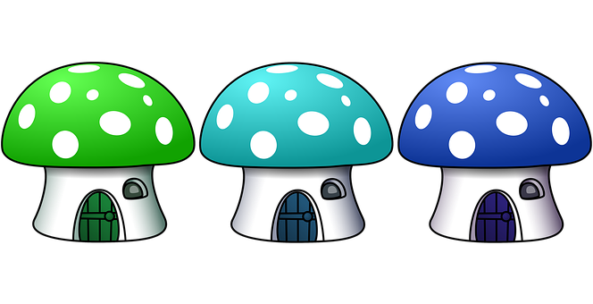 Самые полезные грибы и что мы о них знаем.