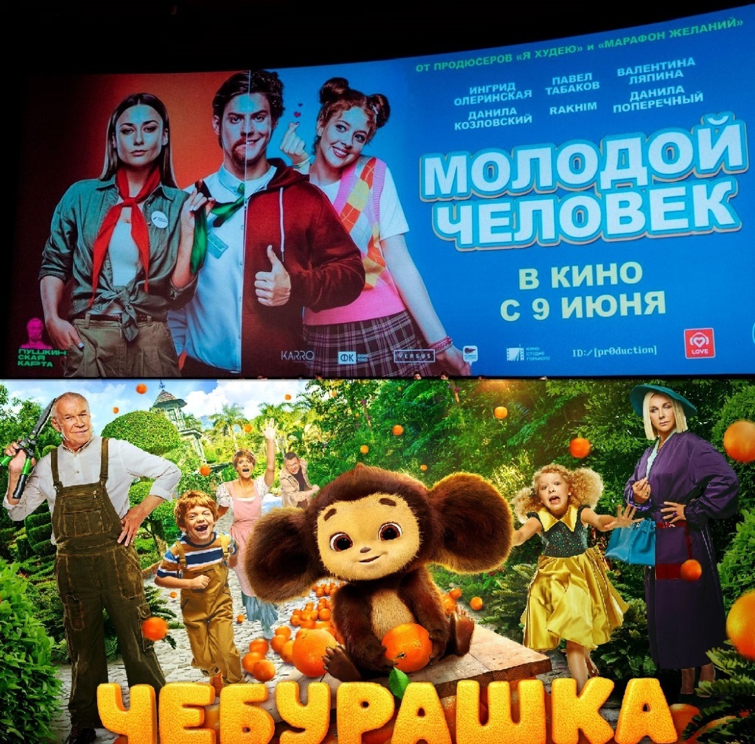 «Молодой человек» стал единственным фильмом, окупившимся в прокате в 2022 году