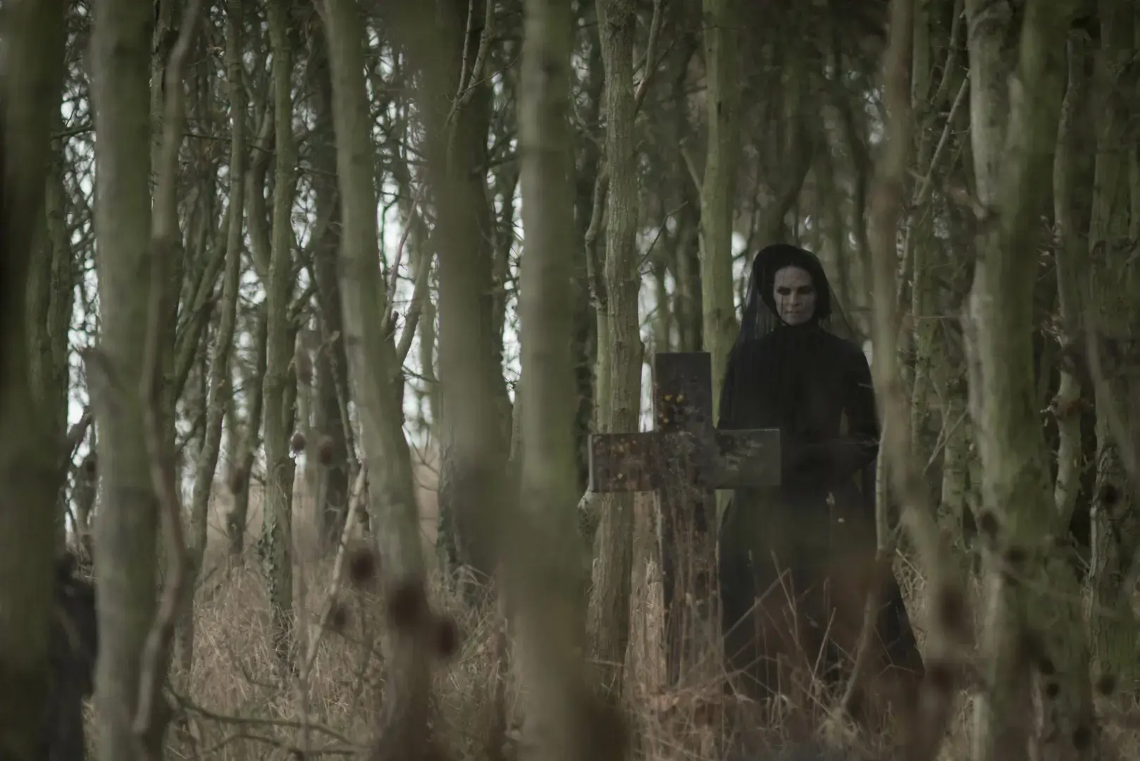 Детективная история: Дело о черной вдове