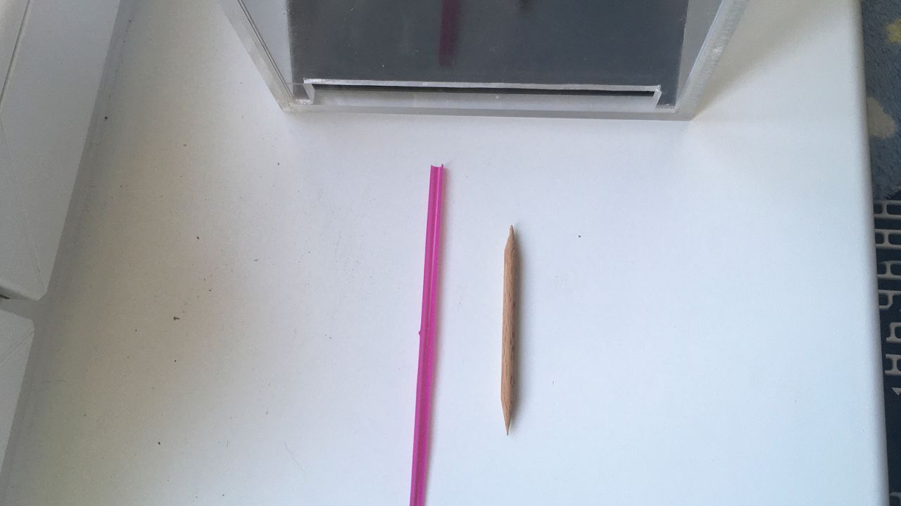 Исследование показывает, что какаду могут не только использовать инструменты, они могут использовать целые наборы инструментов для более сложных задач