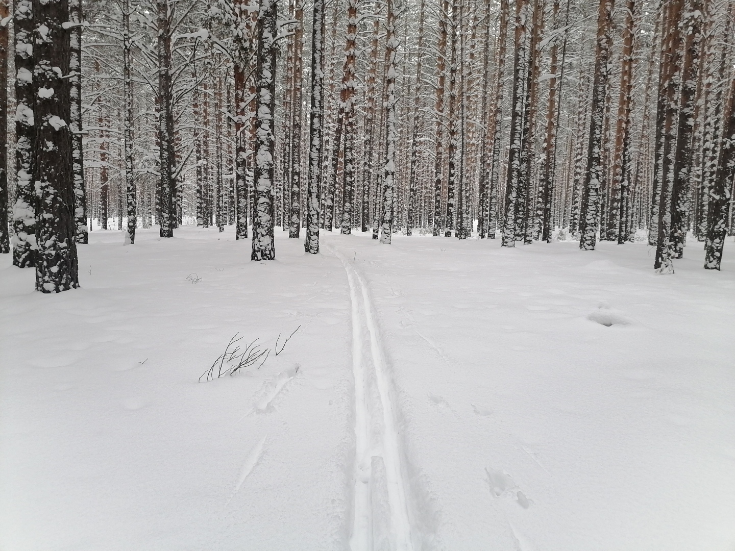 Я счастлив, что живу в России... Вы согласны с тем, что если вы живёте в России, вы уже - самый счастливый человек в мире?