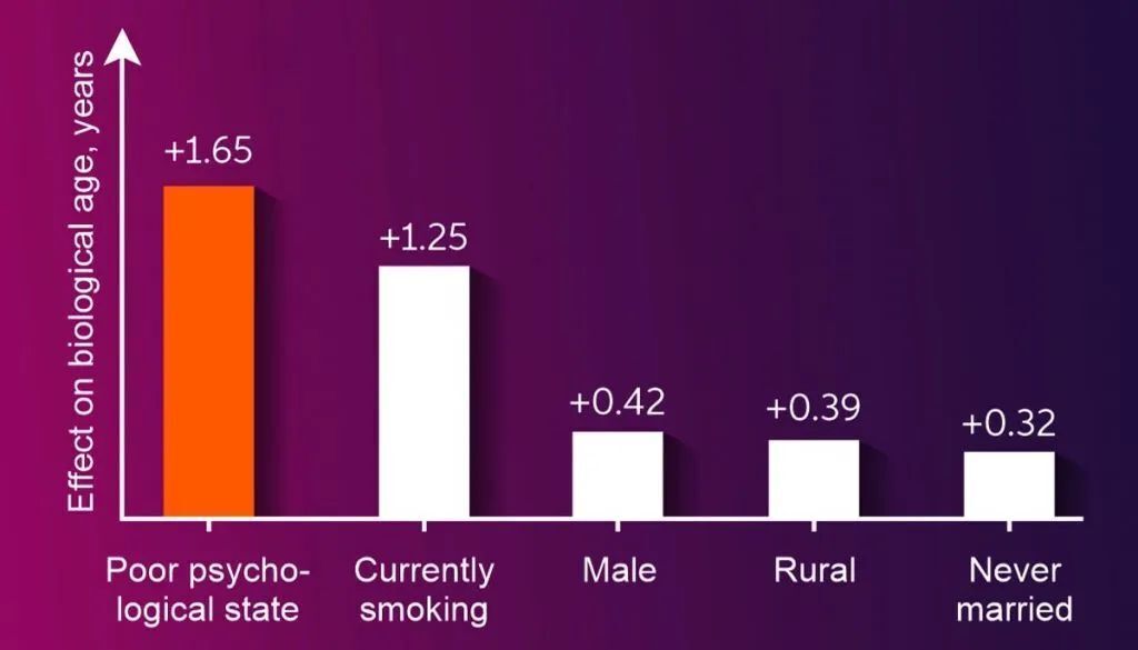 Согласно новому исследованию, секрет здорового долголетия — в счастье