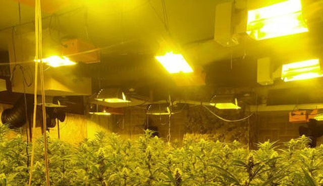 Полгорода оставили без света/ Как раскрыли албано-испанскую преступную группировку