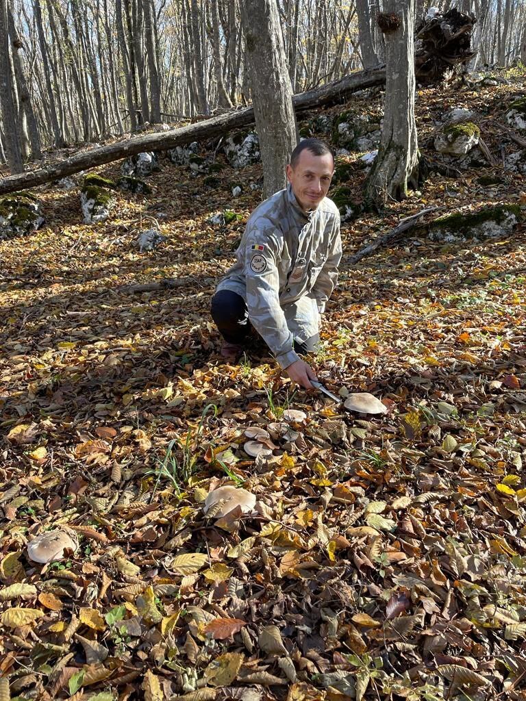 Советы любителям грибной охоты