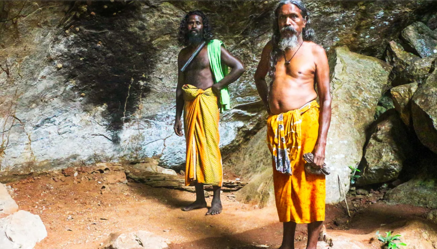 Ведды традиционно были лесными жителями, которые добывали пищу, охотились и жили сплоченными группами в пещерах в густых джунглях Шри-Ланки.