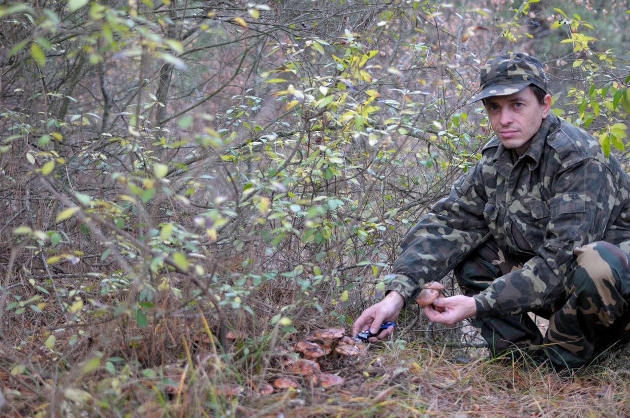 Советы любителям грибной охоты