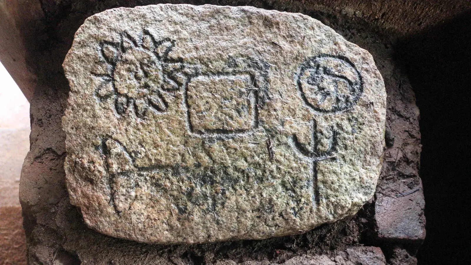 Ведды традиционно были лесными жителями, которые добывали пищу, охотились и жили сплоченными группами в пещерах в густых джунглях Шри-Ланки.