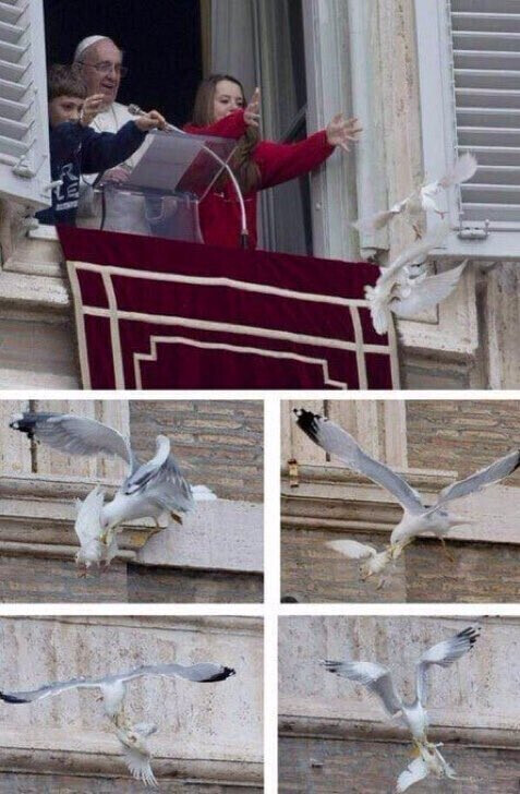 Голубь Папы Римского символизировал Украину.