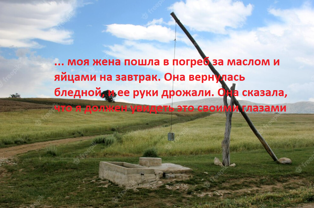 Колодец смерти. Страшные рассказы, мистические истории, страшилки