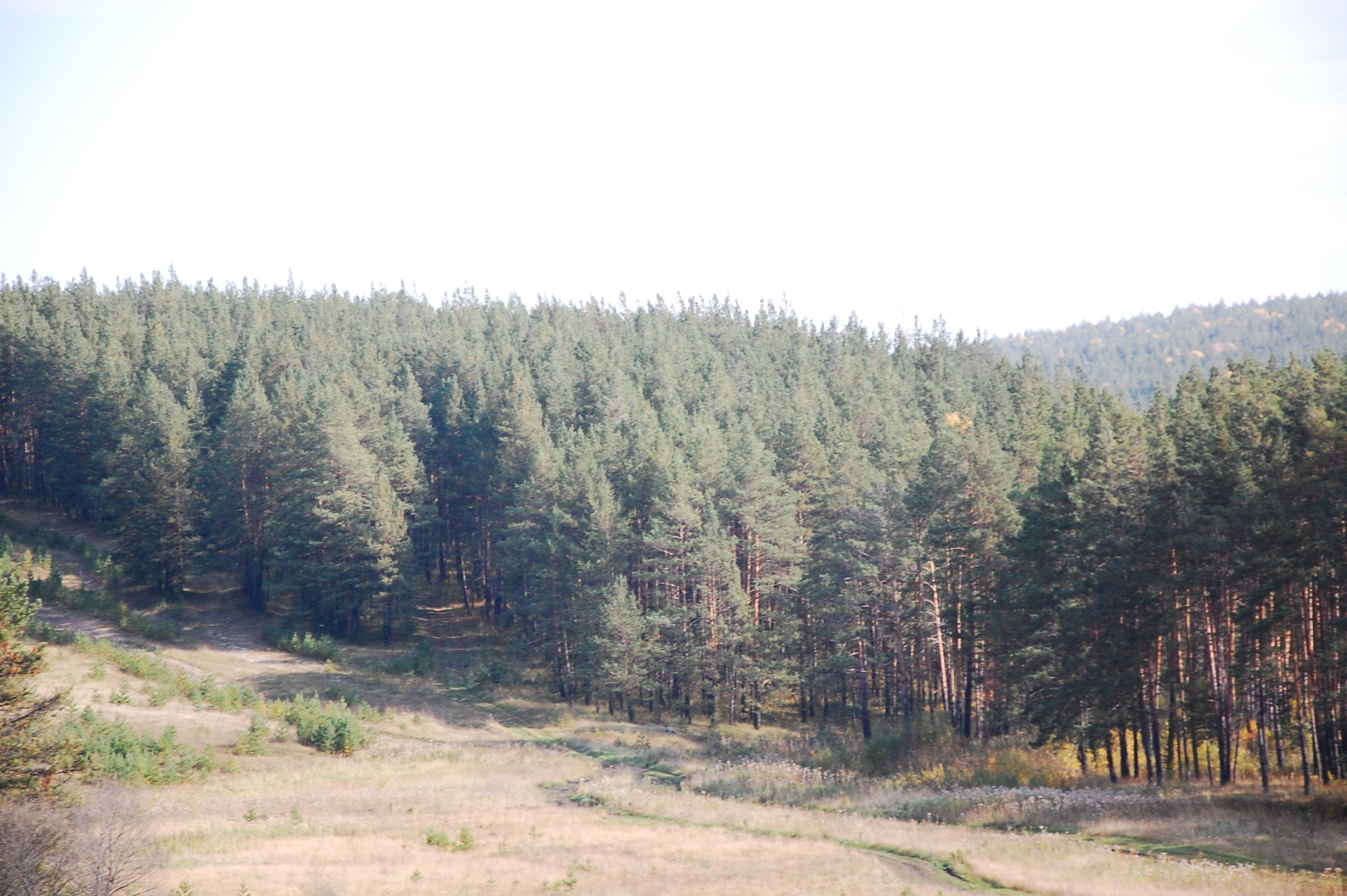БОЛЬШОЕ ПУТЕШЕСТВИЕ Новокузнецк - Ставрополь