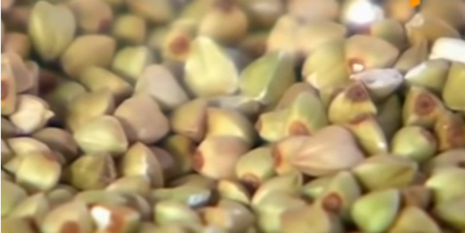 Гречневая каша, калорийность, рецепт