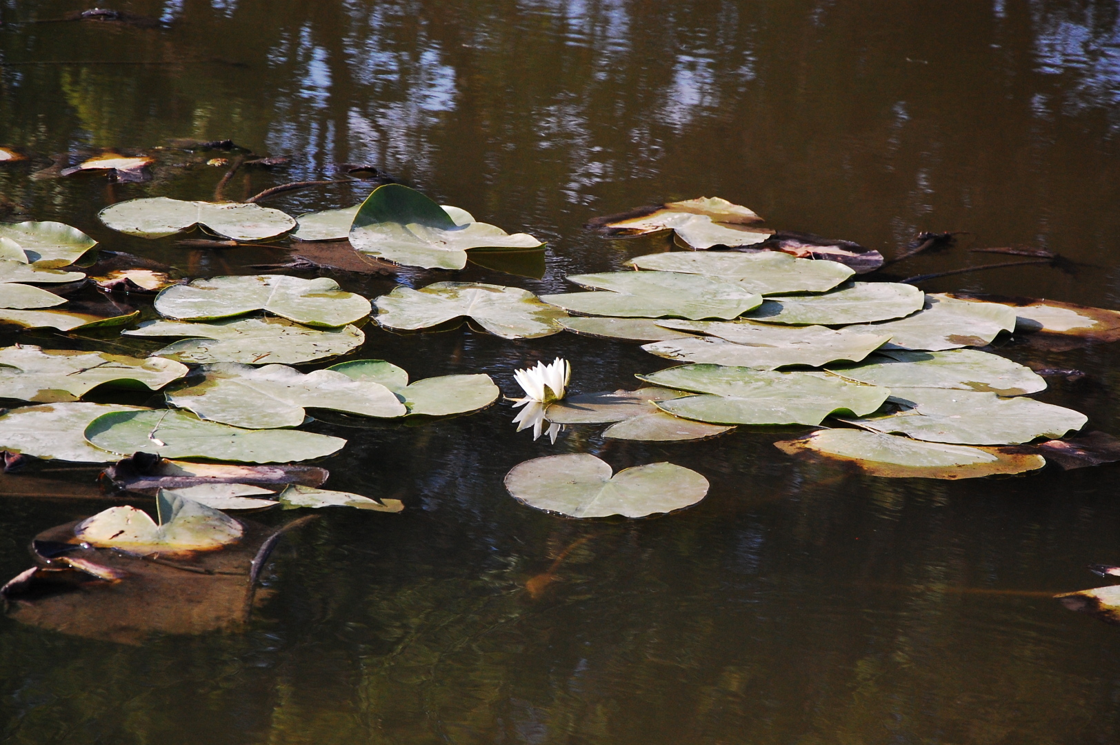 БОЛЬШОЕ ПУТЕШЕСТВИЕ Новокузнецк - Ставрополь