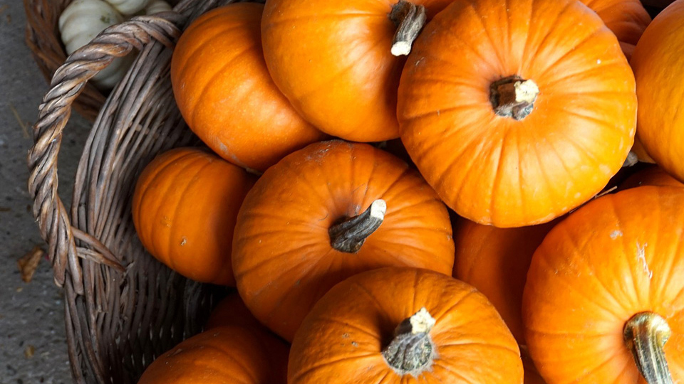 Раскрыты необычные свойства тыквы: От высокого содержания клетчатки до противовоспалительных свойств.