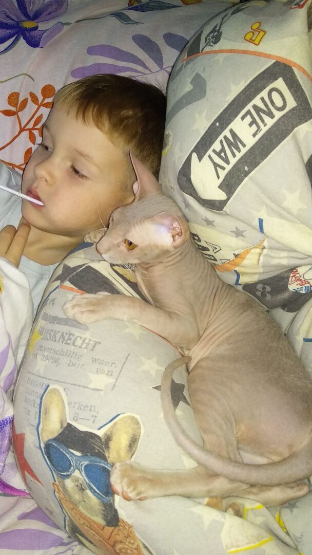 "Страшно" красивый Фреддик