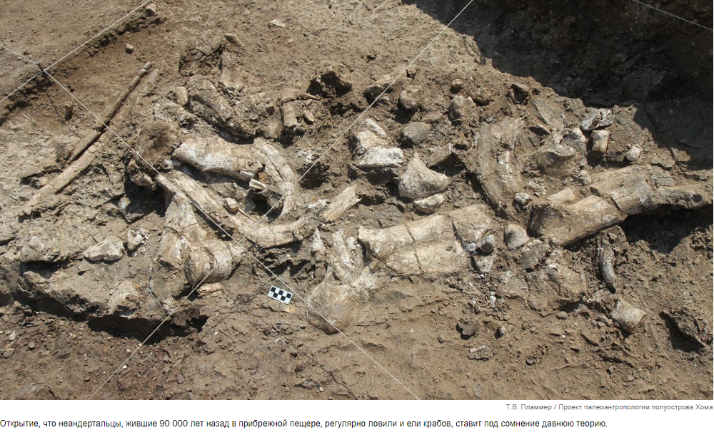 Необычные открытия потрясают то, что мы знаем о древних диетах