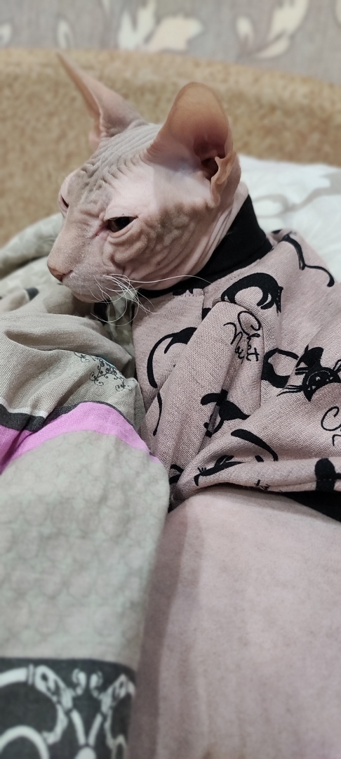 "Страшно" красивый Фреддик