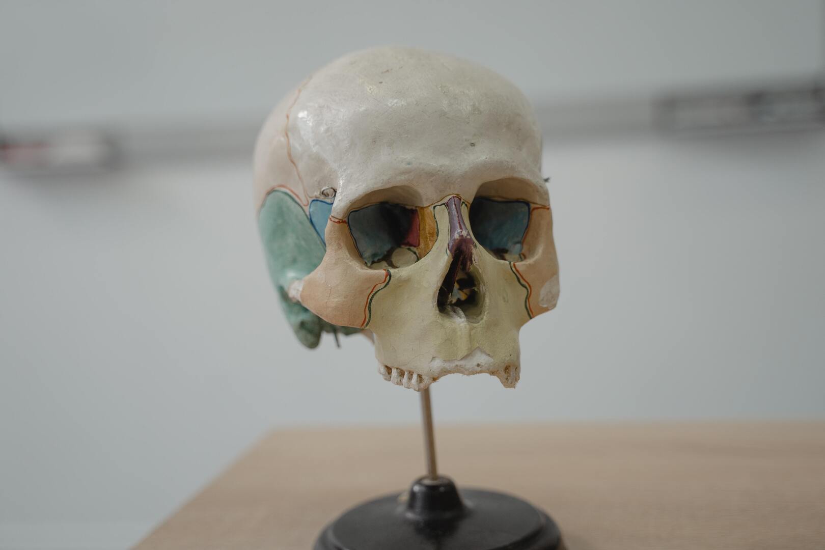 ТОП 10 самых бесполезных факта