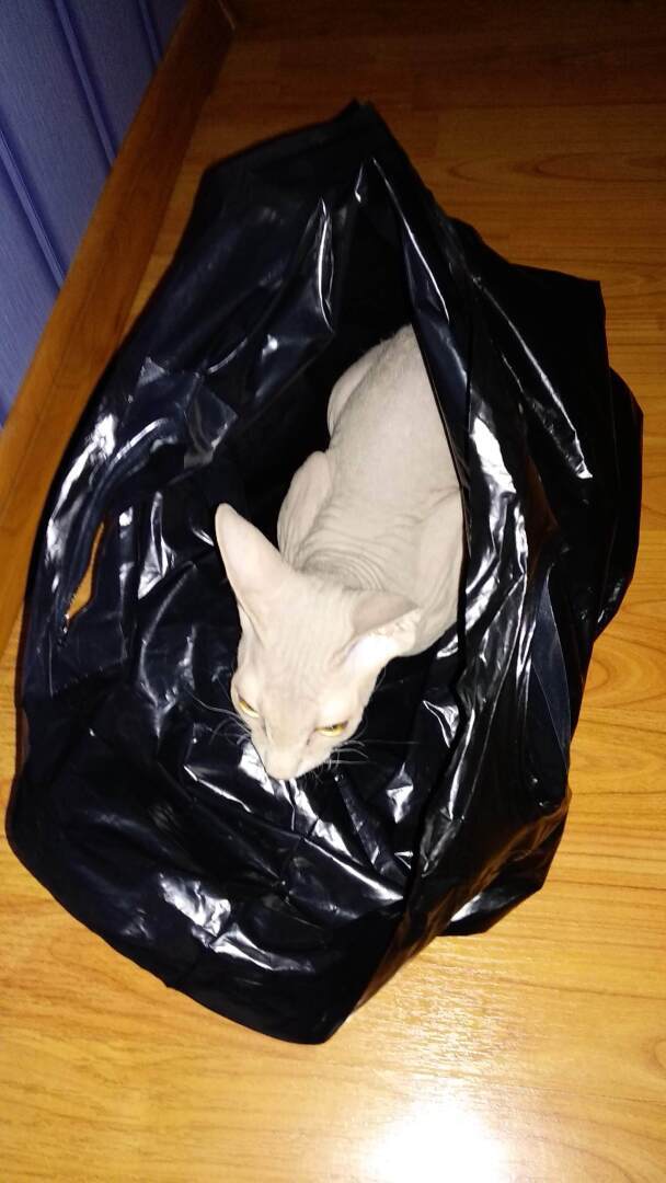 "Страшно" красивый Фреддик