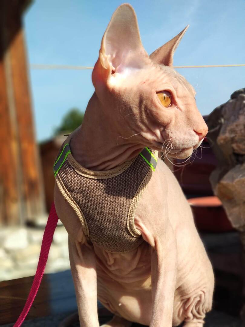 "Страшно" красивый Фреддик