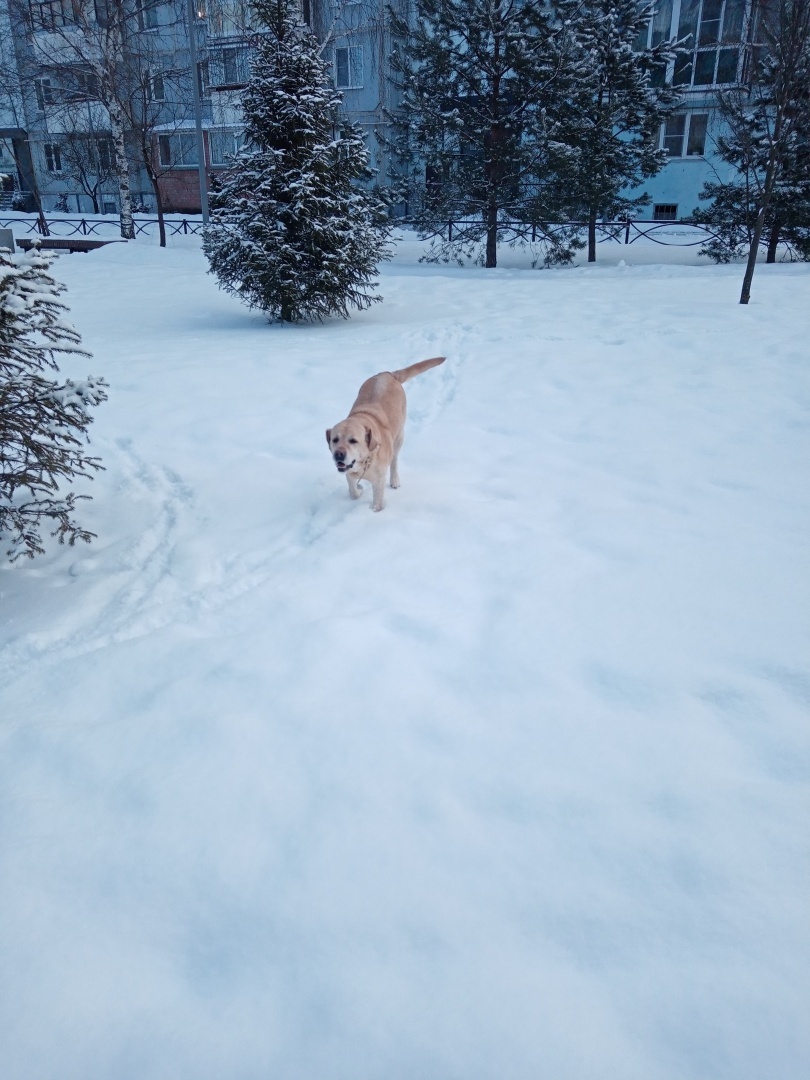 Вознаграждение в виде бесконечности