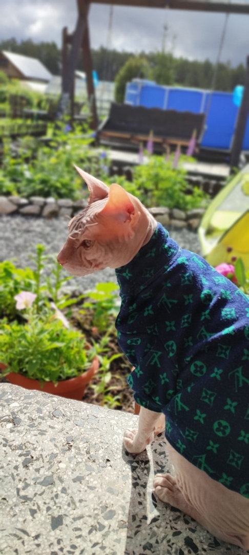 "Страшно" красивый Фреддик