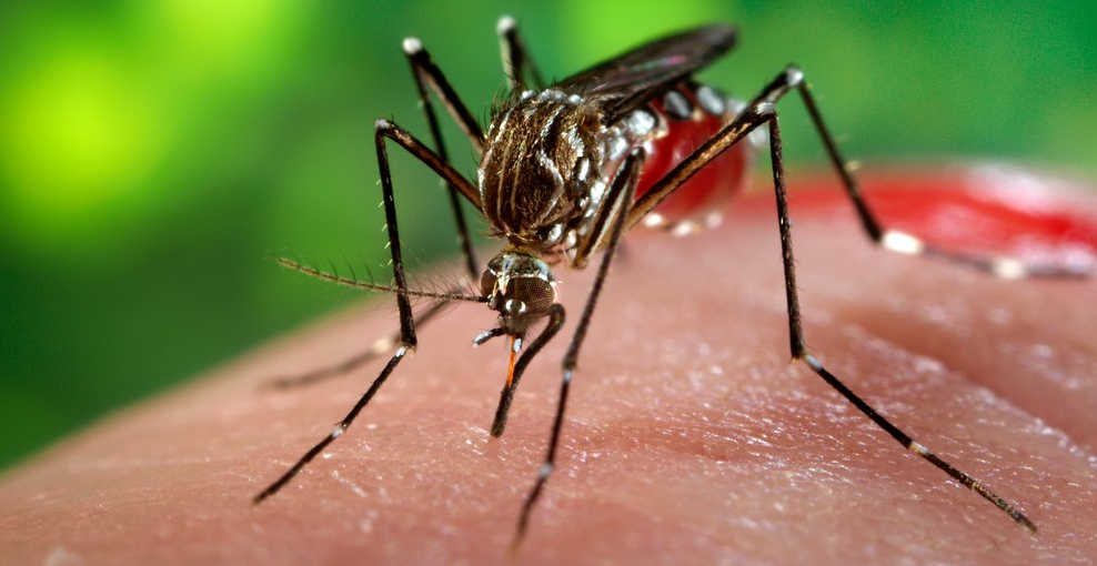 Комаров скоро не будет