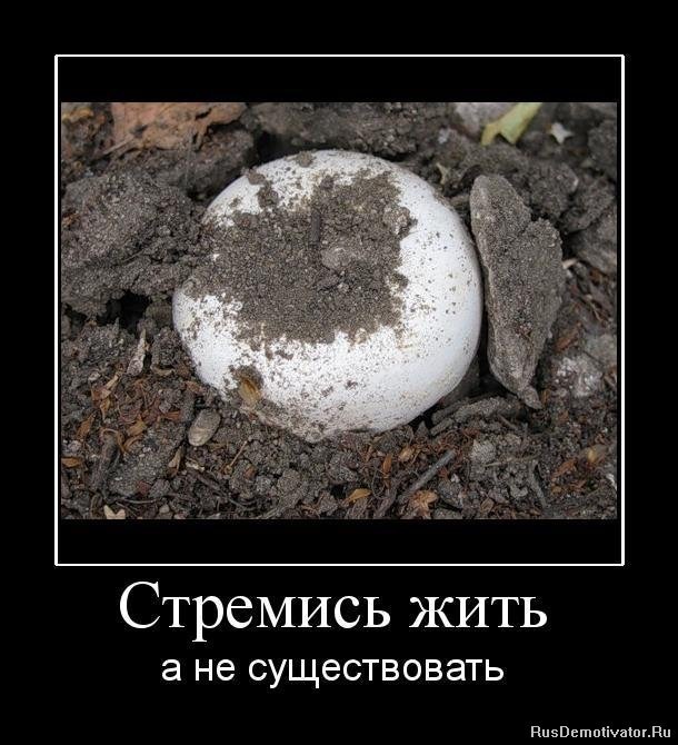 Мы живем или существуем? Что выбирает сегодняшний гражданин: жить или существовать в своем государстве?