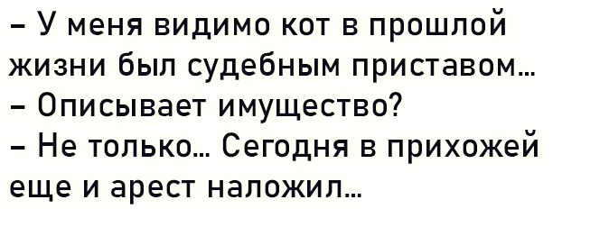 Порция анекдотов