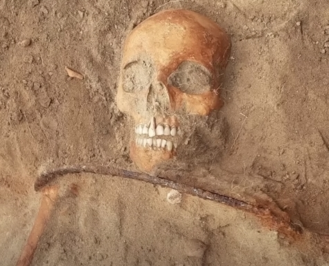 Топ 10 фактов про археологию. Часть 1