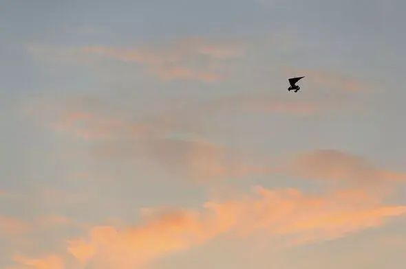 Пекин готовится сбить НЛО в своем воздушном пространстве