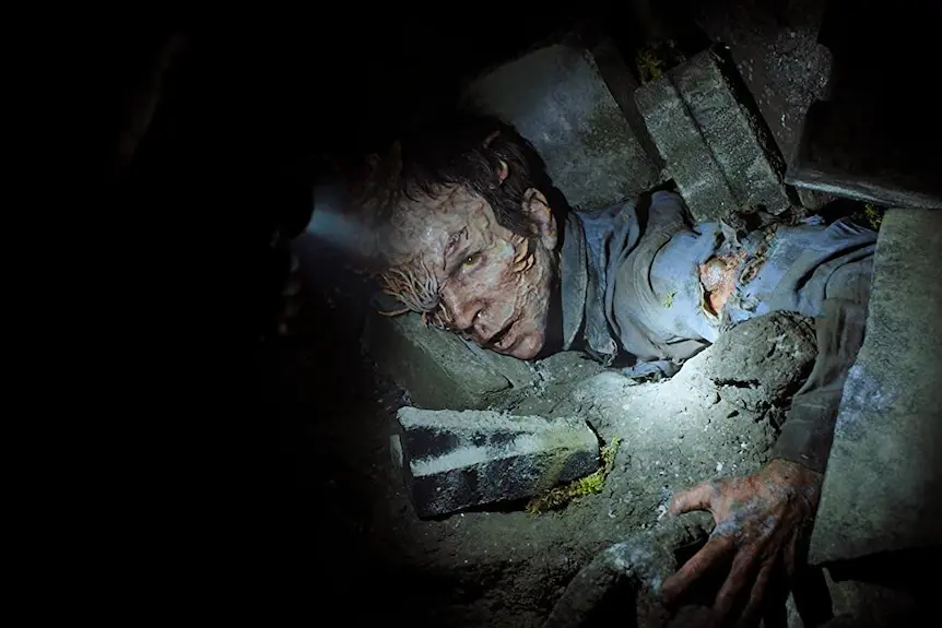 The Last of Us описывает эволюцию грибка-паразита для управления людьми. Могут ли грибковые пандемии случиться в реальной жизни?