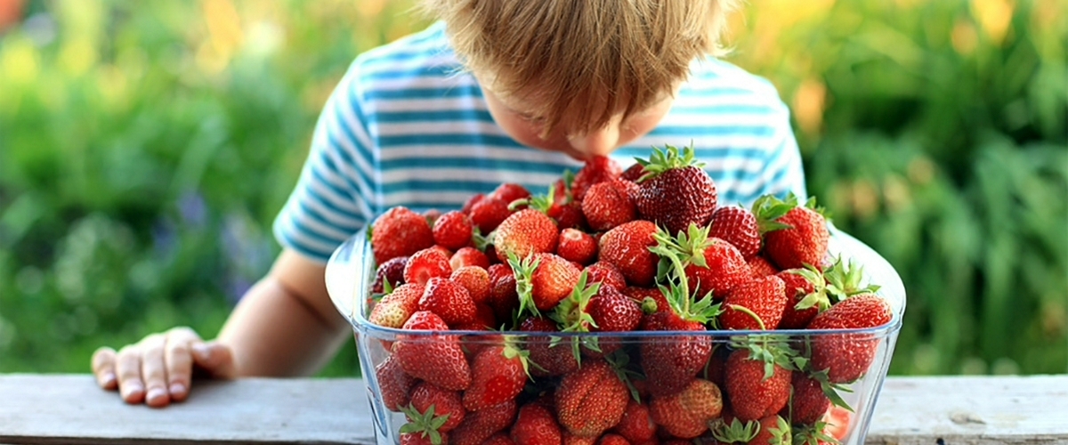 Слишком много этих бактерий в носу может усугубить симптомы аллергии.