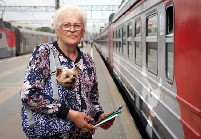 Коммунальные услуги вновь подорожают с 1 марта: подробнее о решении Правительства. Для пенсионеров появятся новые льготы: чем порадовали на этот раз